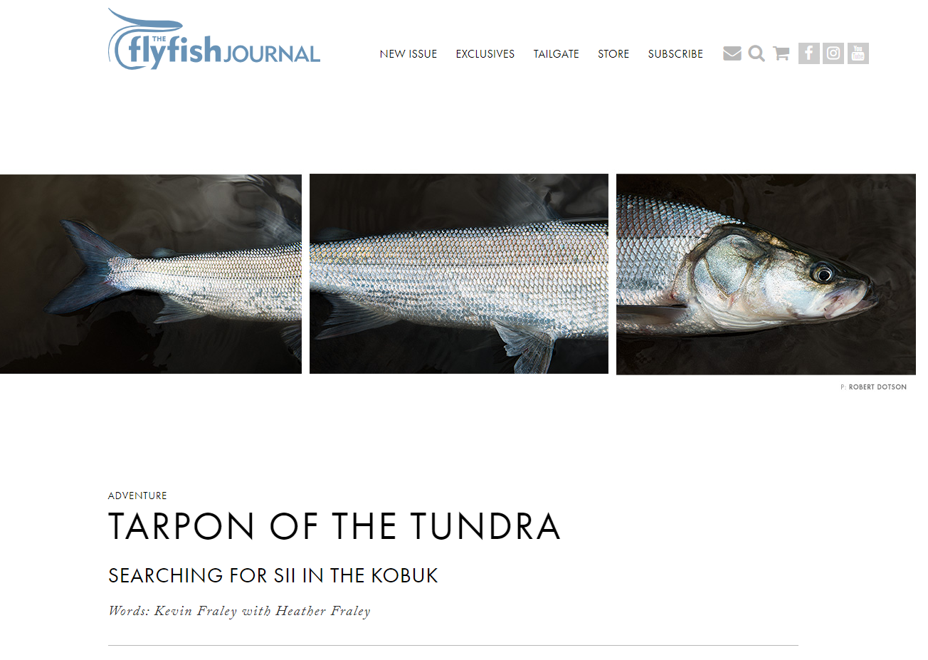 Science Outreach – Arctic Beringia Fish Ecology