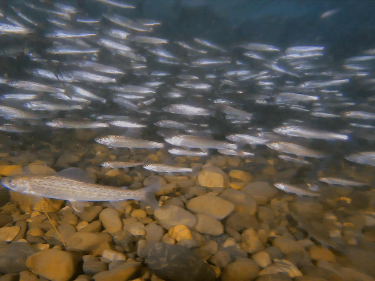 January and April 2025 Arctic Slope&nbsp;Fieldwork