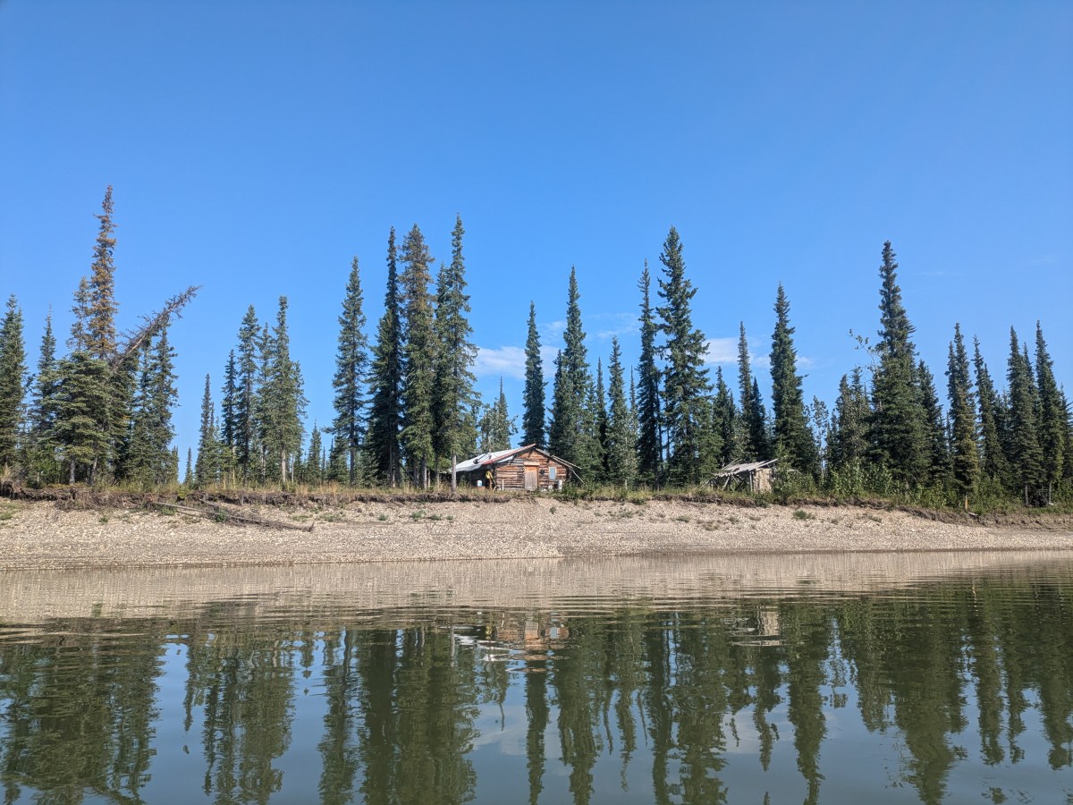 Introduction to the Inaugural&nbsp;Edition!