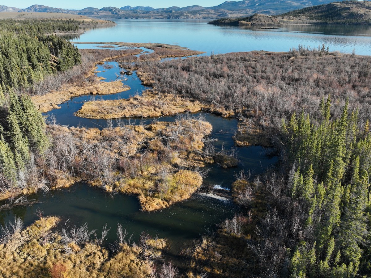 Ta’an Kwäch’än Council salmon habitat&nbsp;enhancement