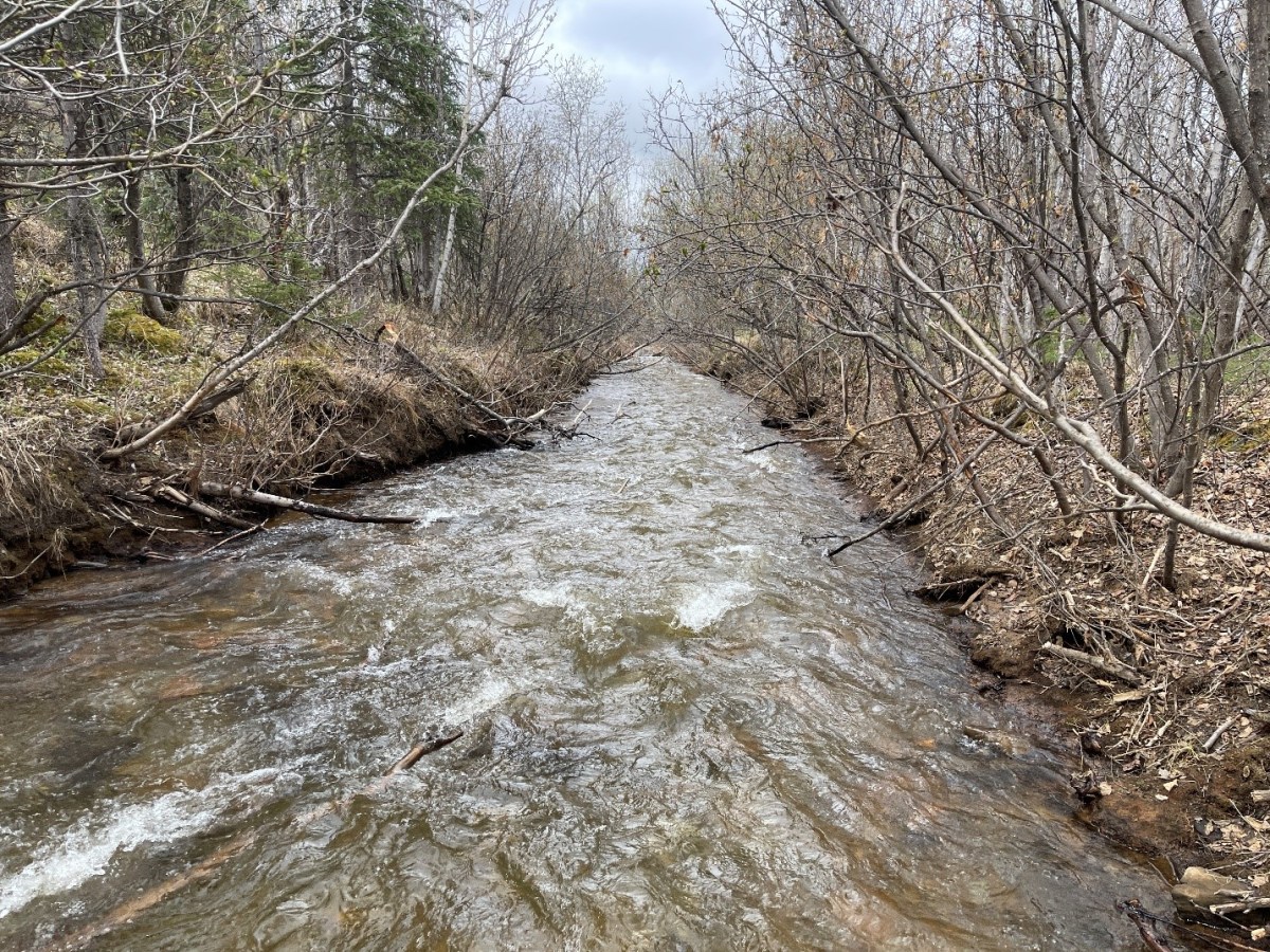 Denali National Park Eldorado Creek Reclamation Project Spring 2026&nbsp;Update