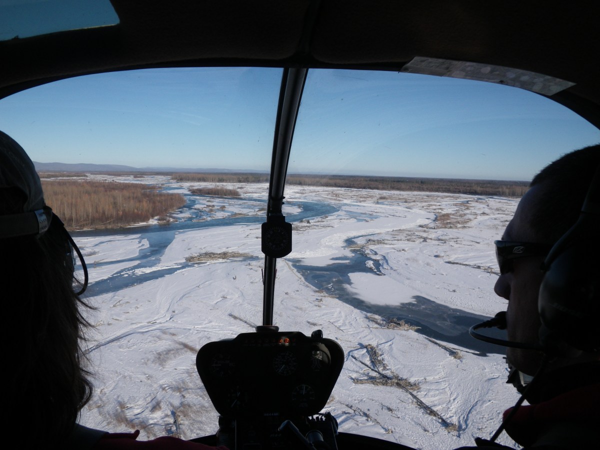 Recent Relevant Scientific&nbsp;Publications