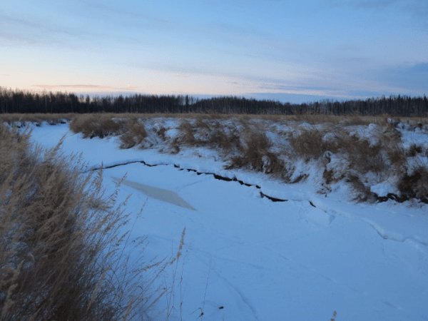 Seeing the Ecosystem Through a Networked&nbsp;Watershed