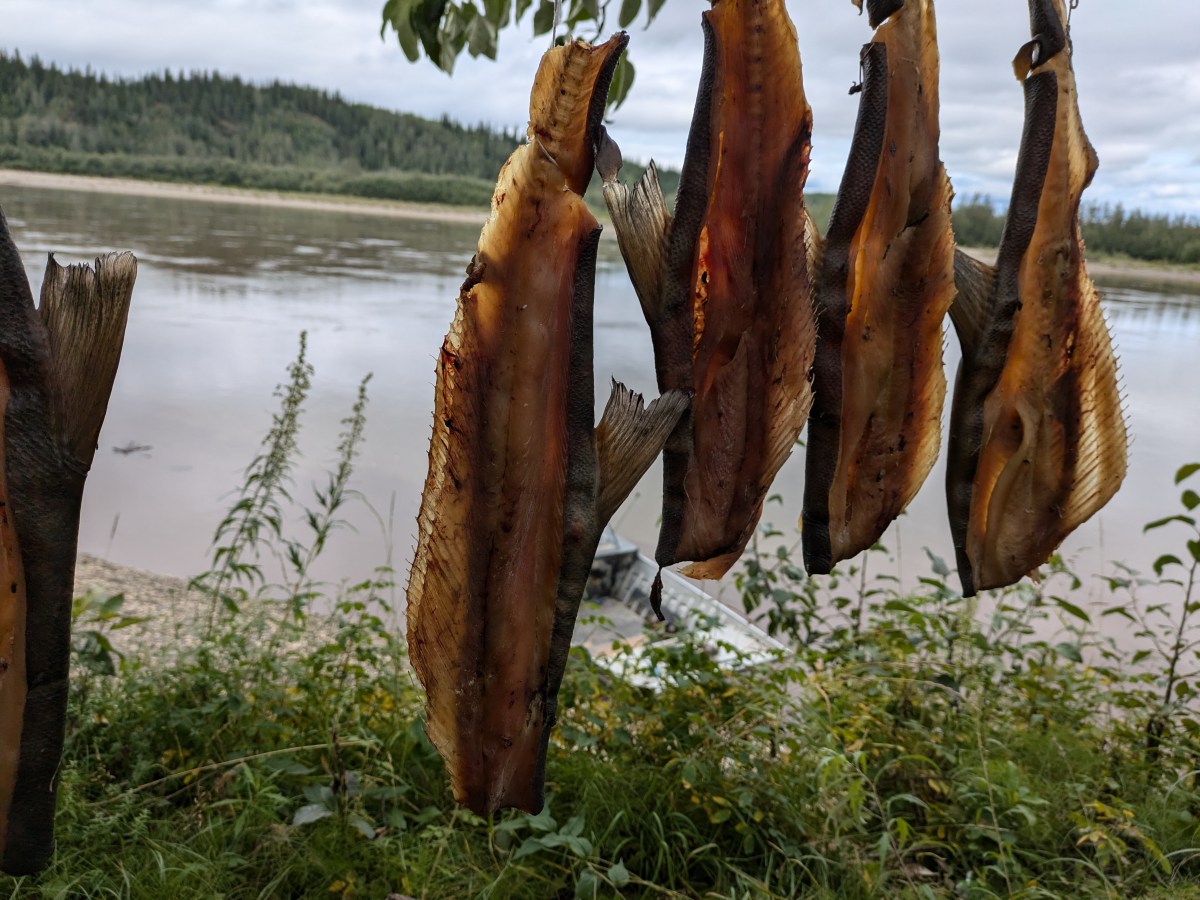 Introduction to the Spring 2026 (3rd)&nbsp;Edition