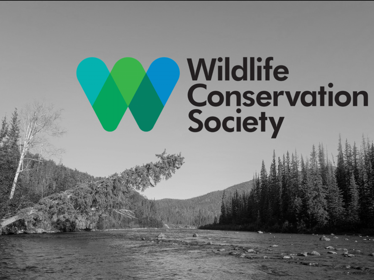 WCS Arctic Beringia: Supporting Yukon River salmon  restoration for the benefit of ecosystems and&nbsp;communities